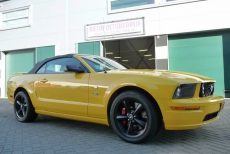 1382838_733559136671139_565417307_n